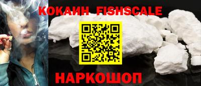 гидропоника Новозыбков
