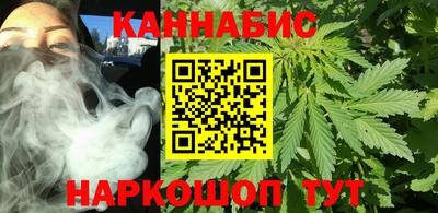 сатива Новокубанск