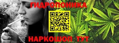 гидропоника Новозыбков