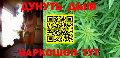 сатива Новокубанск