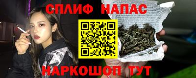 гидропоника Новозыбков