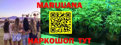 МДМА Новодвинск