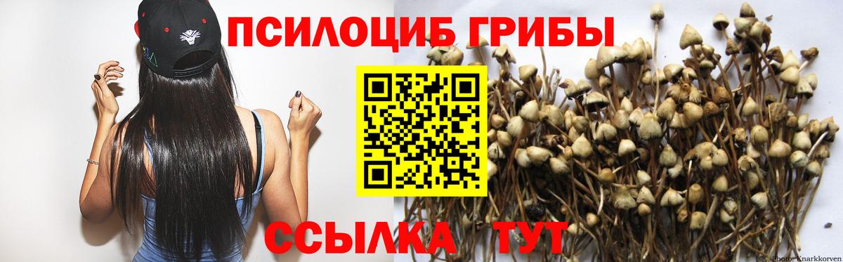 Галлюциногенные грибы Psilocybe  Псилоцибиновые грибы MAGIC MUSHROOMS  Строитель  Вход с VPN 